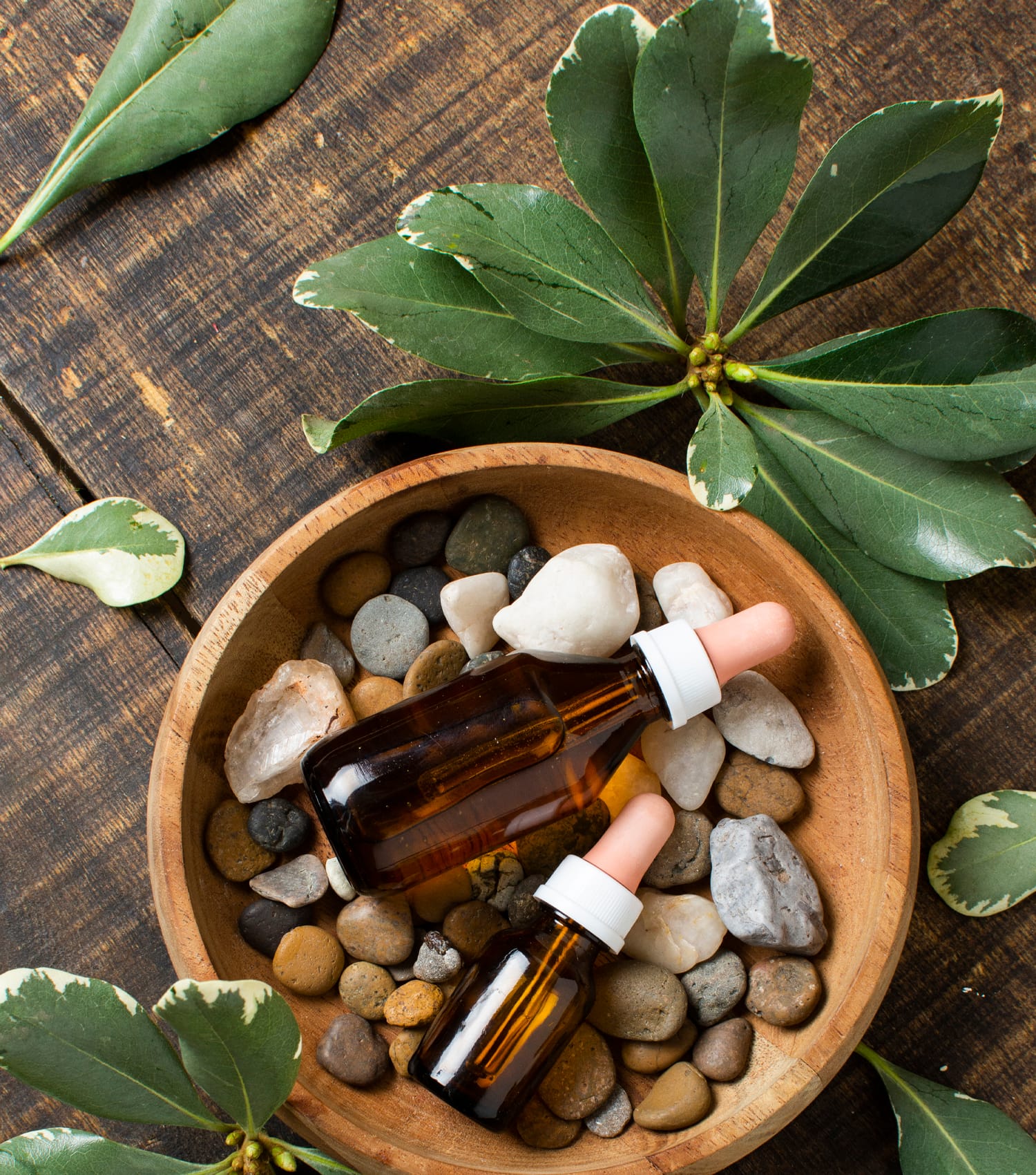 homeopatia